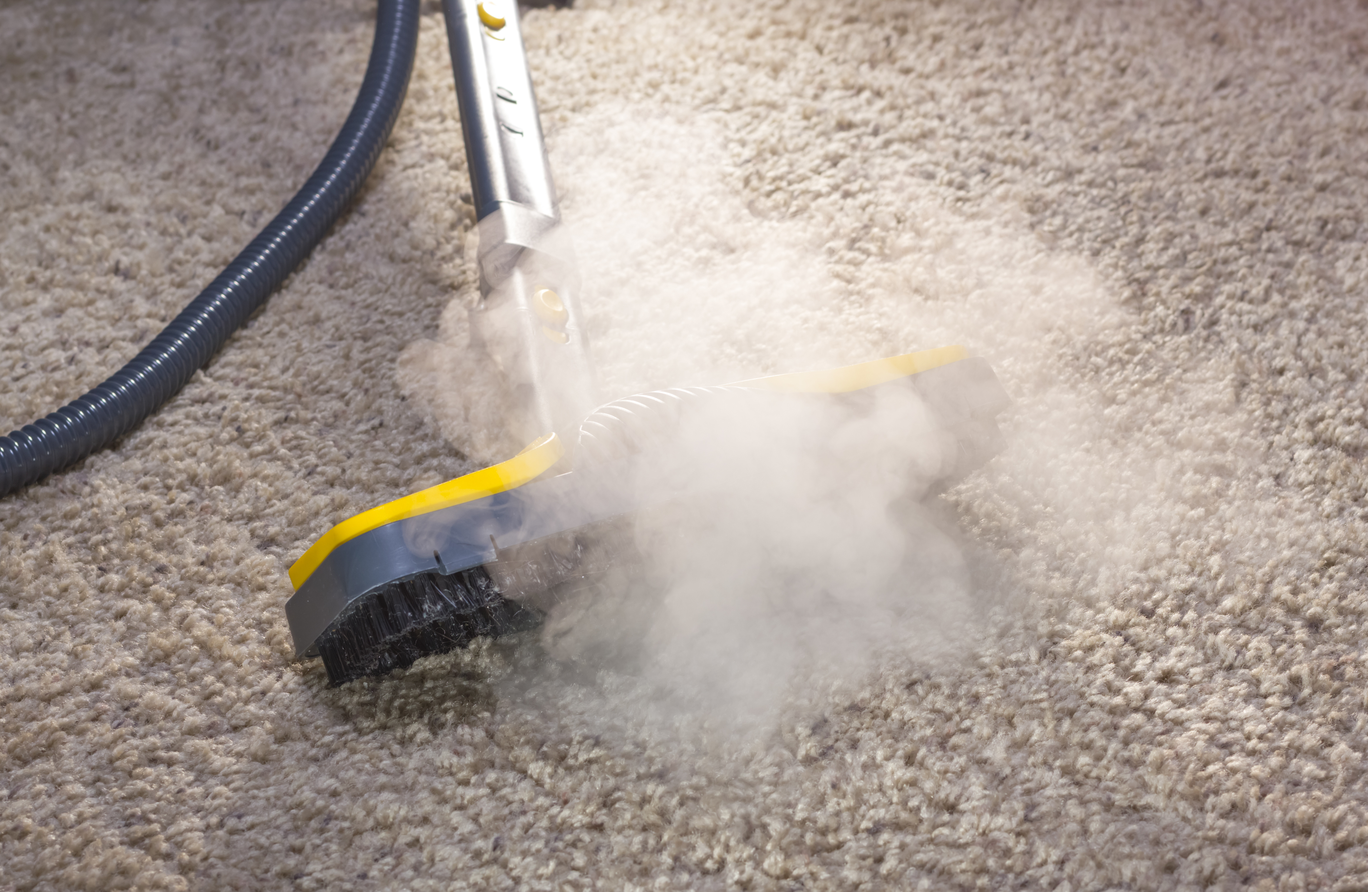 Commercial Carpet Maintenance