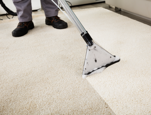 Tips to Prepare for Professional Carpet Cleaning