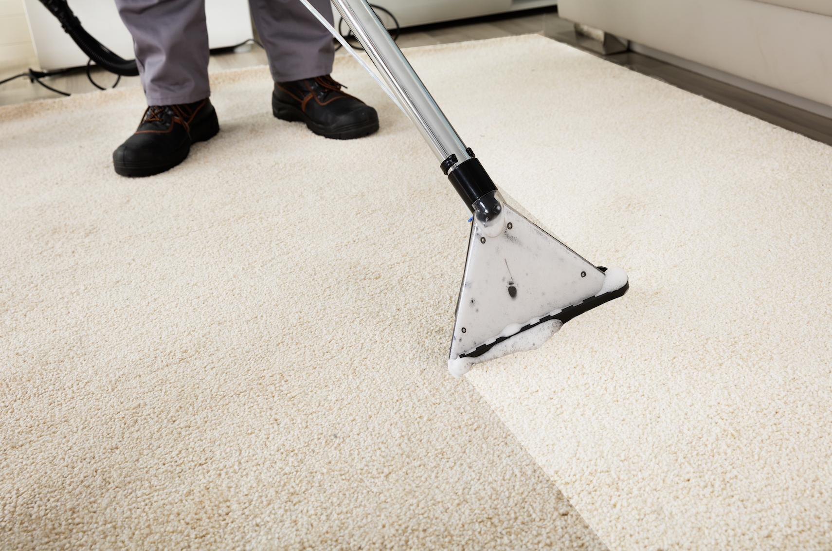 Tips to Prepare for Professional Carpet Cleaning