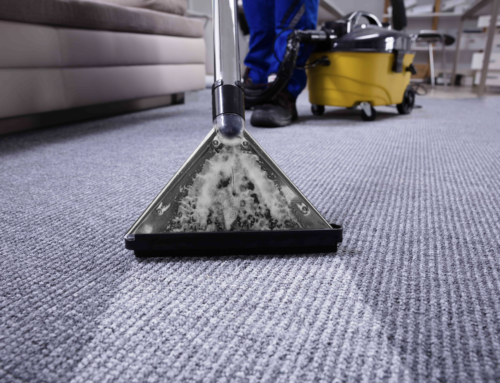 How Often Should You Clean Your Carpet?