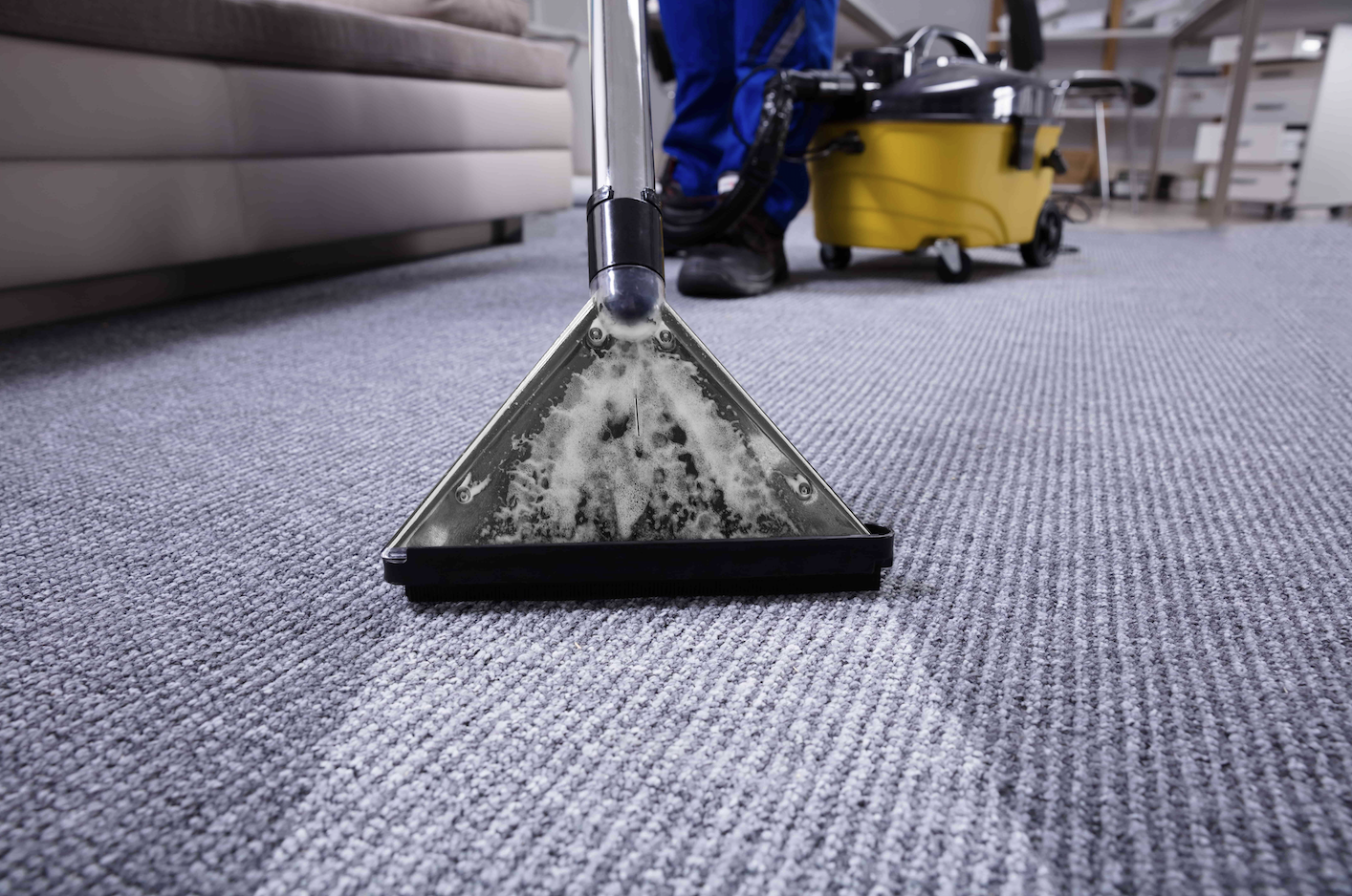 How Often Should You Clean Your Carpet?