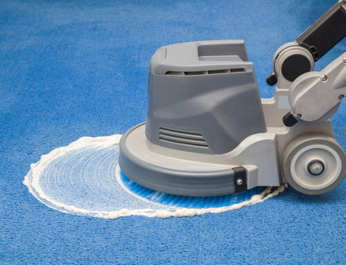 Why You Should Clean Your Carpet After An Illness