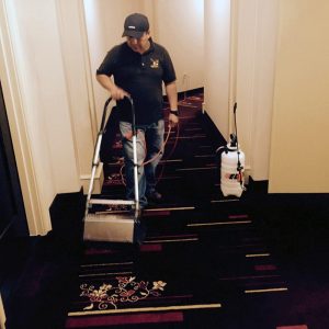 3 Reasons Why Professional Carpet Cleaning is Worth It