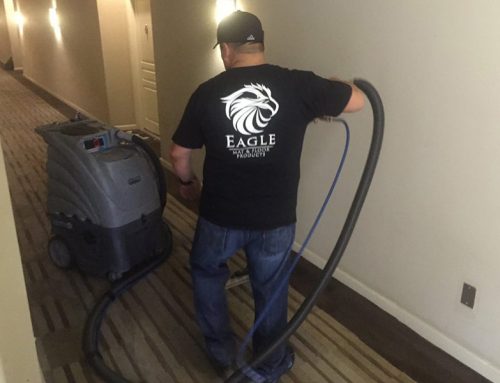 3 Reasons Why Professional Carpet Cleaning is Worth It