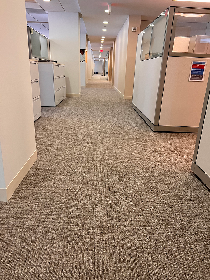 Cubicles Carpet